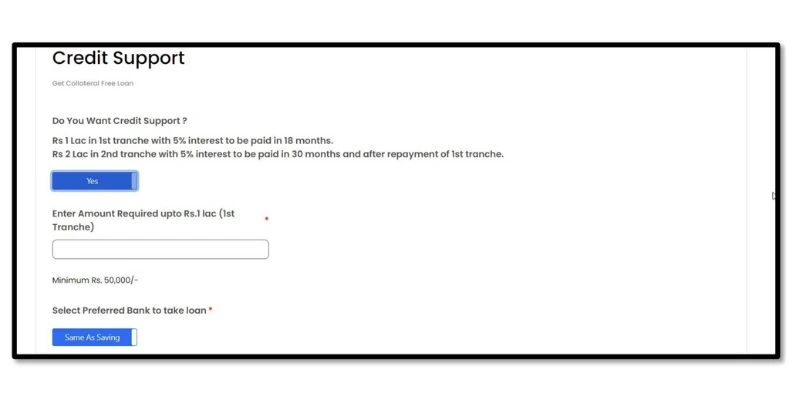 PM Vishwakarma Credit Support